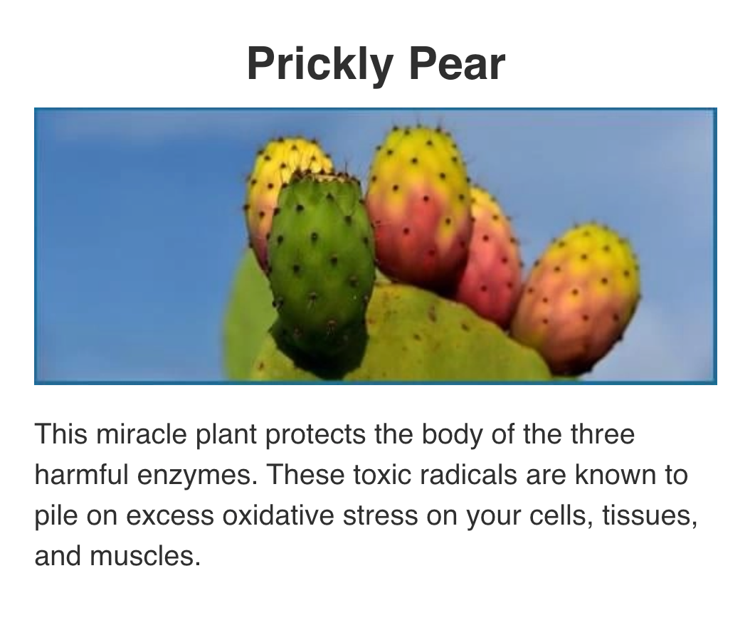 Screenshot 2025-10-31 at 14.23.53