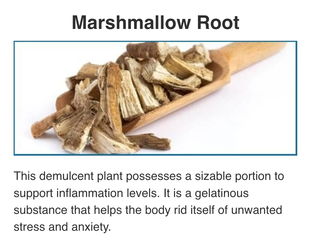 Screenshot 2025-10-31 at 14.24.18