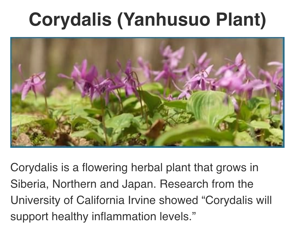 Screenshot 2025-10-31 at 14.24.27