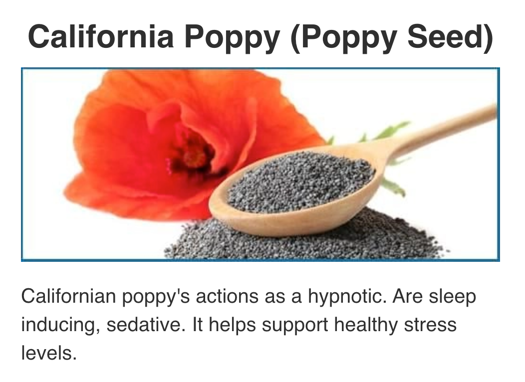 Screenshot 2025-10-31 at 14.24.44